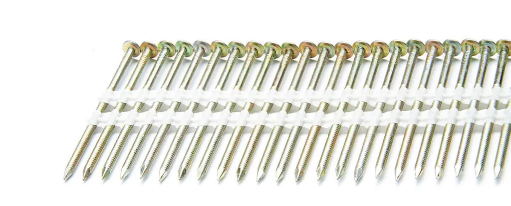 201919517янв 01 2009.jpg