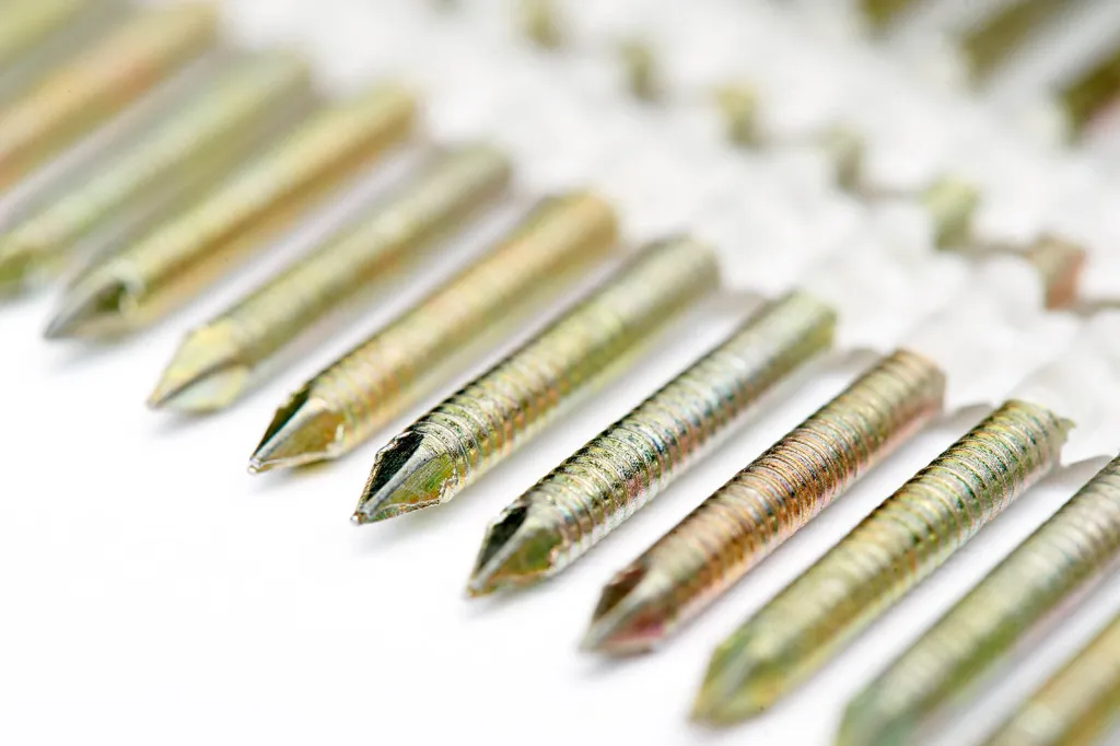 201919560янв 01 2009.jpg