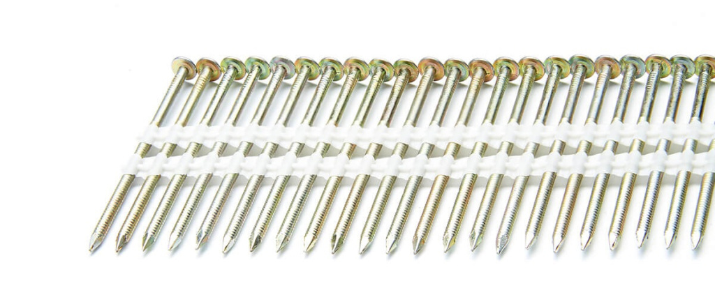 201919517янв 01 2009.jpg